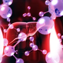Illustration of a human liver surrounded by abstract molecular structures, symbolizing drug metabolism and biochemical interactions.