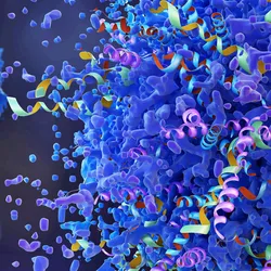 3D illustration of complex protein structures. The image shows vibrant, ribbon-like helices in pink, green, yellow, and blue, intertwined within and around dense, irregular blue molecular shapes, representing folded proteins at a microscopic scale.