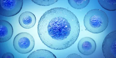 Multiple spherical stem cells in various sizes, suspended in a vivid blue environment