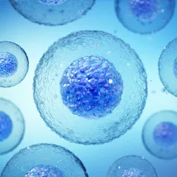 Multiple spherical stem cells in various sizes, suspended in a vivid blue environment