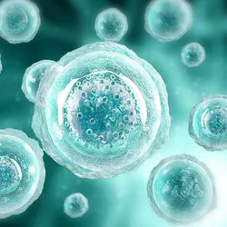 Microscopic illustration of multiple translucent cells with visible nuclei floating in a teal-toned environment.
