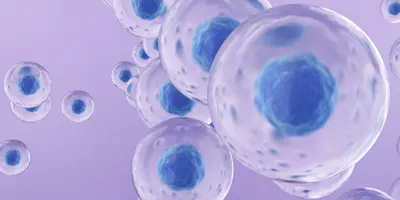 3D illustration of transparent cells with blue nuclei representing activity in live cell kinetic assays.