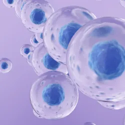 3D illustration of transparent cells with blue nuclei representing activity in live cell kinetic assays.