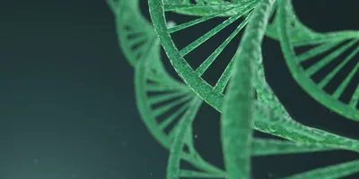 Close-up 3D rendering of a green DNA double helix strand on a dark gradient background.