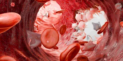 The inside of a vein with blood cells depicting the blood clotting and wound healing process. 