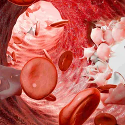 The inside of a vein with blood cells depicting the blood clotting and wound healing process. 