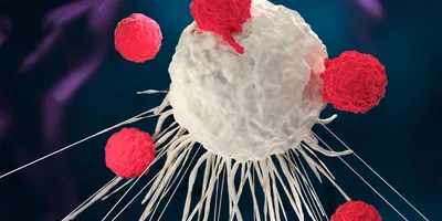 Five red T cells attach a white-colored cancer cell.