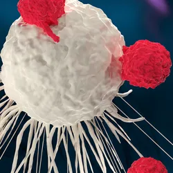 Five red T cells attach a white-colored cancer cell.
