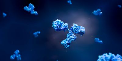 3D illustration of blue antibodies floating in a dark space, representing immune system molecules