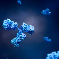 3D illustration of blue antibodies floating in a dark space, representing immune system molecules
