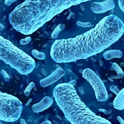 A 3D illustration of blue rod-shaped bacteria floating against a dark background.