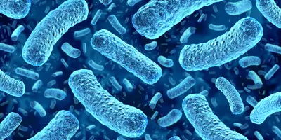 A 3D illustration of blue rod-shaped bacteria floating against a dark background.
