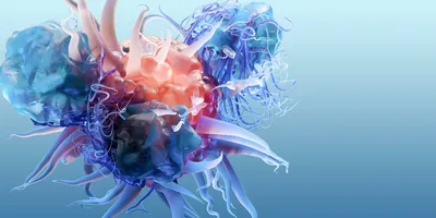 Illustration of blue immune cells interacting with a red target cell.