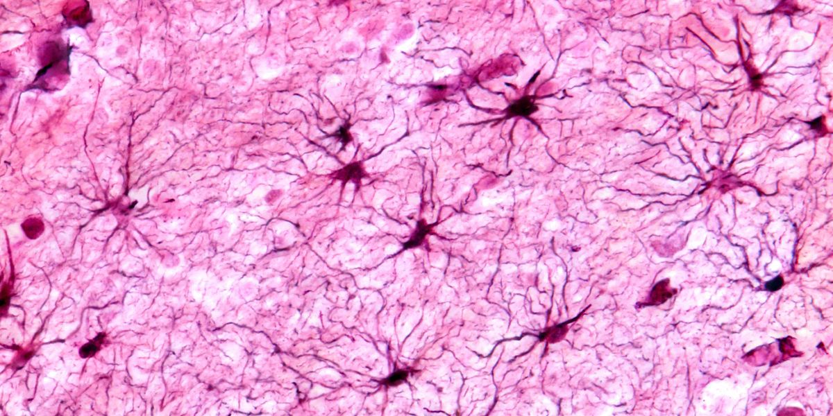 glp 1 pills effective I'm never hungry anymore.
