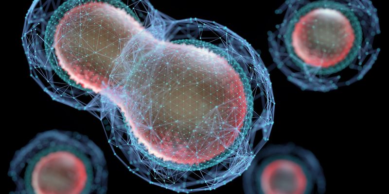Transforming high-content screening with intelligent imaging and AI ...