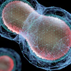 High-content imaging plays a pivotal role in modern drug discovery for capturing detailed cellular responses at scale. As assays expand in complexity, researchers need faster, more powerful tools. In this webinar, experts will share real-world applications that showcase how next-generation imaging platforms and AI-driven software are pushing the boundaries of phenotypic profiling and organoid-based studies, enhancing reproducibility, scalability, and discovery potential.  Topics to be covered:  High-content imaging assays for 2D phenotypic profiling and 3D patient-derived organoid analysis The latest innovations in high-content screening platforms that enhance speed, quality, and flexibility How AI-driven analysis can improve reproducibility and tackle challenging screening assays