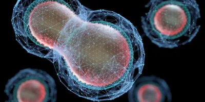  A 3D-rendered illustration of a dividing cell surrounded by a digital wireframe mesh, symbolizing the intersection of biology and data-driven imaging.