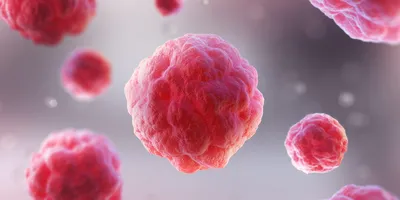 A 3D-rendered illustration of a dividing cell surrounded by a digital wireframe mesh, symbolizing the intersection of biology and data-driven imaging.