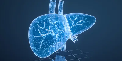 Digital illustration of a human liver with branching vessels, depicted as a glowing hologram made of interconnected points and lines on a dark background.