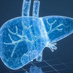 Digital illustration of a human liver with branching vessels, depicted as a glowing hologram made of interconnected points and lines on a dark background.