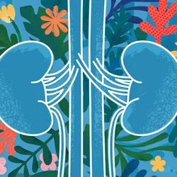A stylized illustration of human kidneys drawn in white outlines, set against a blue background filled with colorful abstract flowers and leaves. 