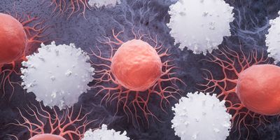 An illustration showing red cancer cells surrounded by white immune cells interacting on a dark textured background.