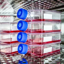 A stack of cell culture flasks in a temperature controlled compartment.