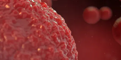 3D illustration of organoid cell culture