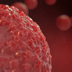 3D illustration of organoid cell culture