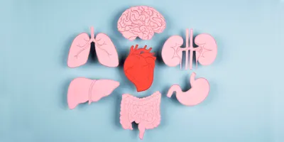 Advanced organoid models to study human development and disease