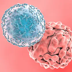 A digital illustration showing a T cell attacking a cancer cell, symbolizing the promise of immune-based therapies in tackling disease.