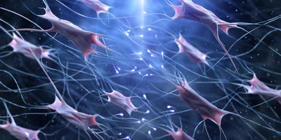 A 3D illustration showing a network of elongated, pink fibroblast-like cells connected by fine, glowing filaments on a blue background, representing cellular communication and tissue structure.