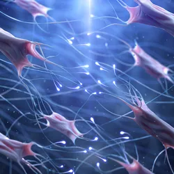 A 3D illustration showing a network of elongated, pink fibroblast-like cells connected by fine, glowing filaments on a blue background, representing cellular communication and tissue structure.