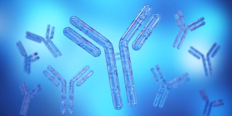 Bio X Cell announces new brand identity and expanded capabilities in ...