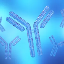 Detailed representation of antibodies against a blue background 