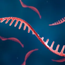 3D illustration of a red mRNA strand with a folded, ribbon-like structure floating in a blue fluid background, representing the complex shape of messenger RNA molecules.