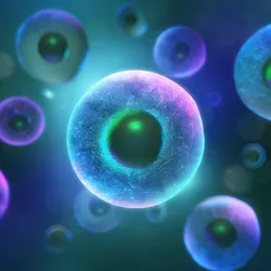 https://www.istockphoto.com/photo/3d-rendering-of-embryonic-stem-cells-therapy-innovation-medical-background-concept-gm2149200989-570436280?searchscope=image%2Cfilm 