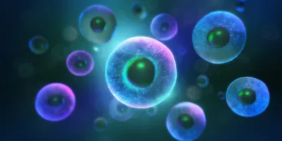 Digital illustration of glowing, translucent cells floating in a dark blue environment, representing a microscopic view of biological or cellular structures.