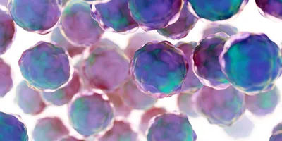 A 3D illustration of spherical multicellular spheroids, showing clusters of purple and blue cells representing a three-dimensional cell culture model.