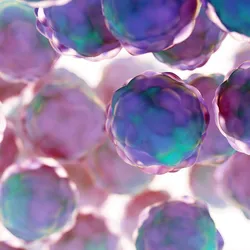 A 3D illustration of spherical multicellular spheroids, showing clusters of purple and blue cells representing a three-dimensional cell culture model.
