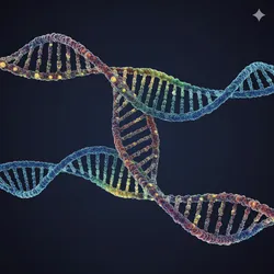 DNA double helix representation relevant to immune system reprogramming