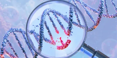 DNA double helix under a magnifying glass, symbolizing gene therapy and gene manipulation.