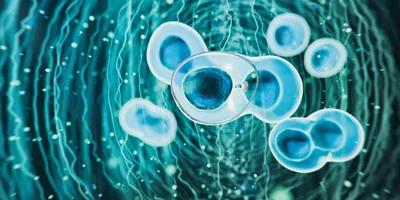 A visual depiction of stem cells zoomed in with a bright blue center.