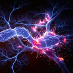 3d rendered image of Neuron cell network on black background.