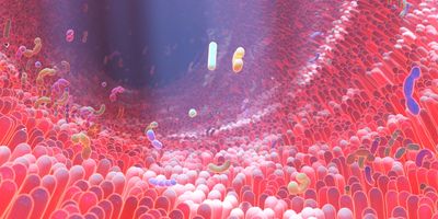 Illustration of the intra-tumoral microbiome with diverse microbial communities.