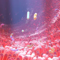 Illustration of the intra-tumoral microbiome with diverse microbial communities.