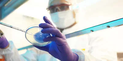 Scientist in a clean room