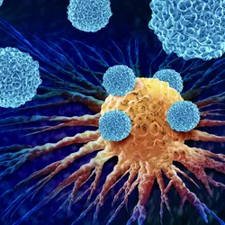 Leukocytes attacking a cancer cell.