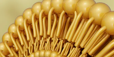 Illustration of pegylated lipid nanoparticles for drug delivery