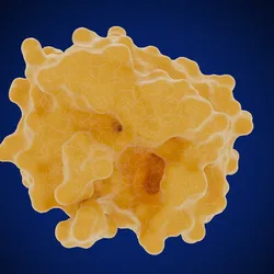 A 3D molecular rendering of the prostate-specific antigen, showing its folded yellow protein structure with a large cavity representing the active site on the lower right.